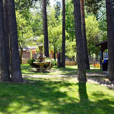 Forest * Sarajevo