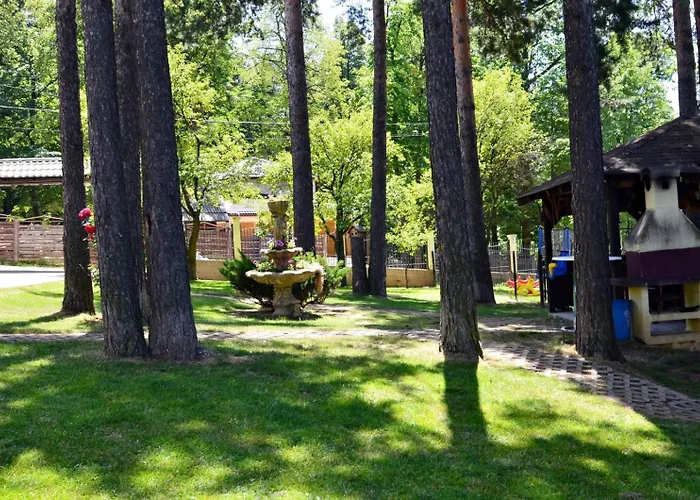 Forest * 塞拉耶佛